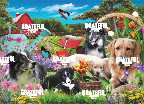 dogs in spring seasons 2