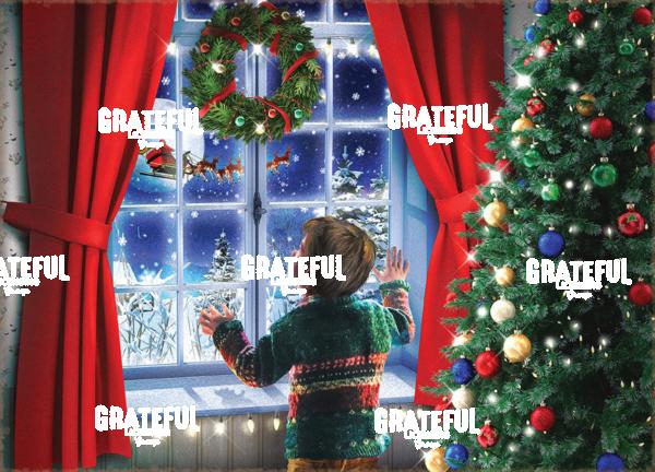 Window xmas 1