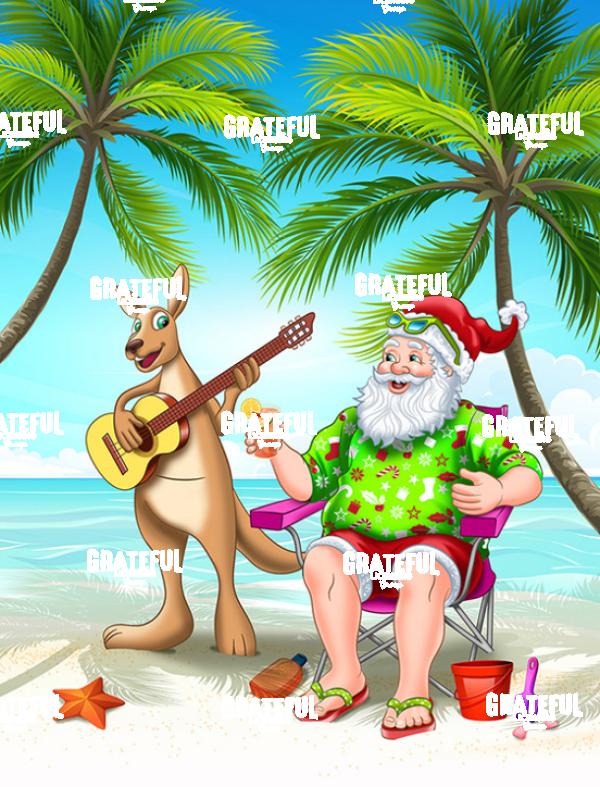 Santa Beach RT2 1