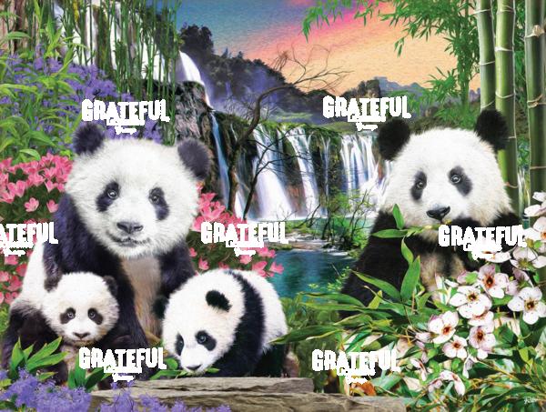 RT73 Pt Panda Bears A