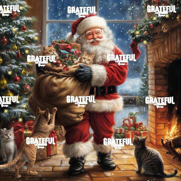 RT259 PT Santa Gift Bag