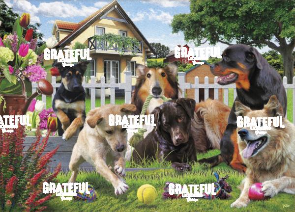 Dogs Fun puzzle 1