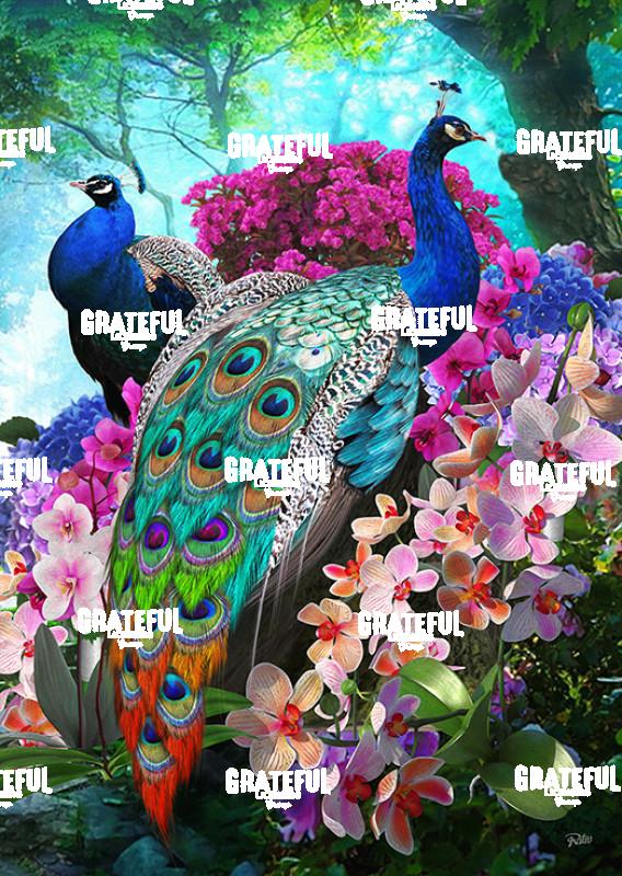 RT54 Pt Peacock 1A