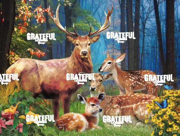 RT59 Pt Deer Family 1A
