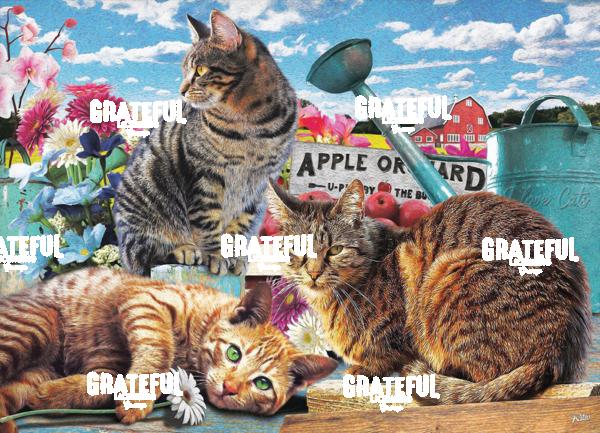 Cats 1 puzzle 1a