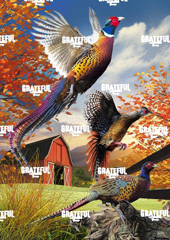 RT56 Pt Pheasant 1A