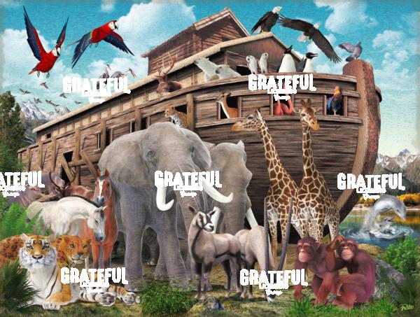 RT02021P48S Noah's Ark 1A
