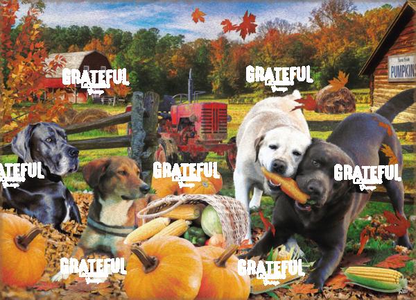dogs in fall seasons 2