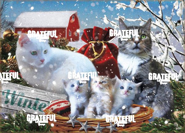 Cats 3 puzzle 3a