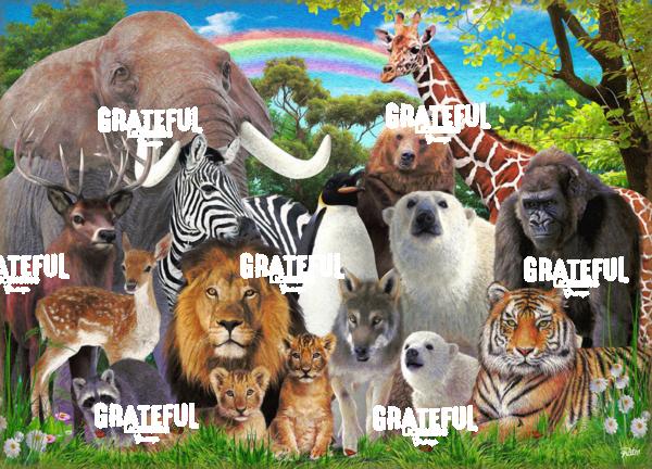 Animal earth Puzzle 1A
