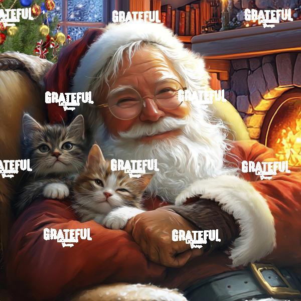 RT256 PT Santa 6