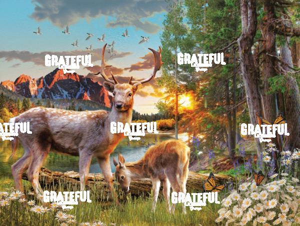 RT95A Pt Wildlife Sumer 4A