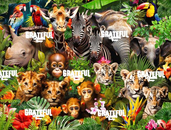 RT152RT Baby Wild Animals 1A