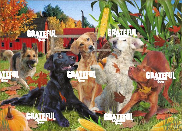 dogs in fall seasons 3A