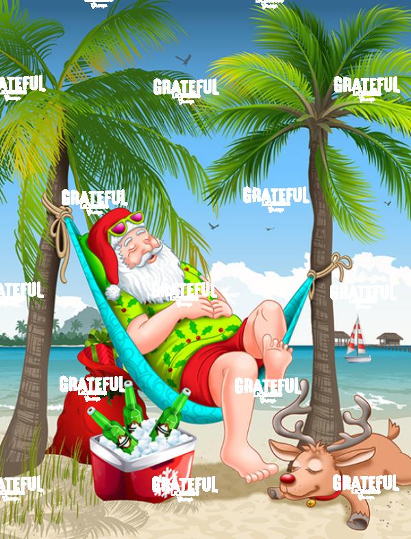 Santa Beach RT4 1