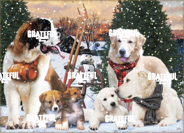 dogs in winter seasons 2