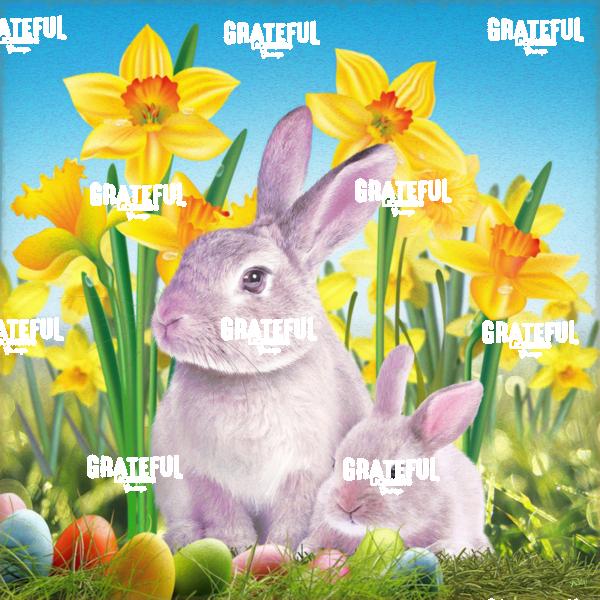 RT02021P39a2 Easter Rabbit A