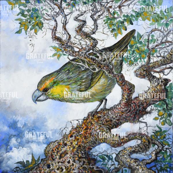 Kiwikiu Maui Parrot Bill