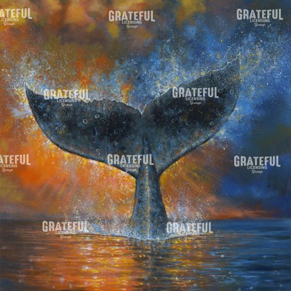 Sun Path Whales Tale