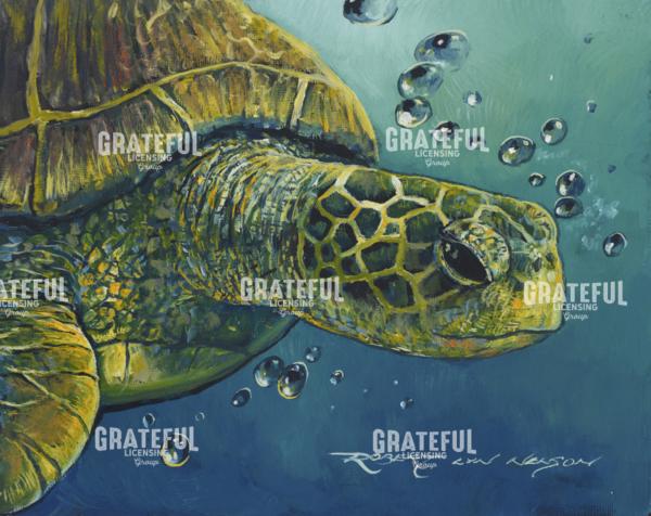 Gentle Honu