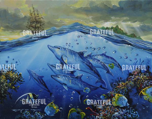Dolphin Melodies