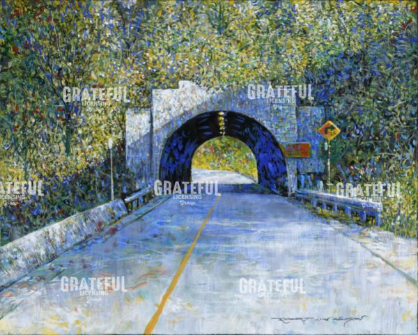 Mt Baldy Tunnel