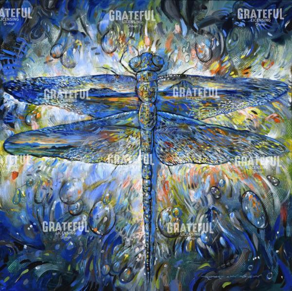 My Dragonfly Fascination