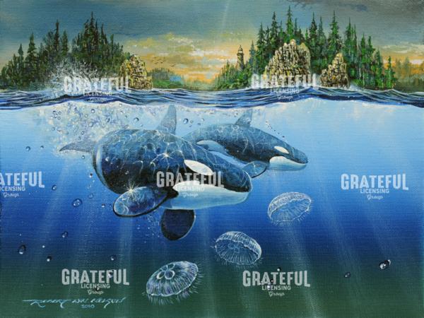 Mystic Orca and Jellies