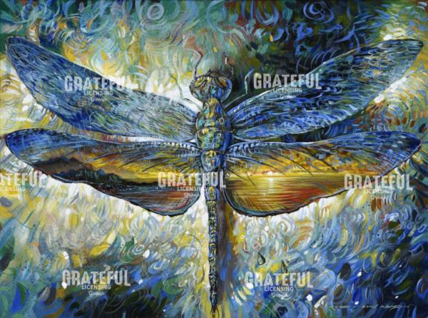 Dragonfly Speaks