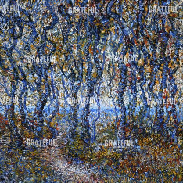 Thicket