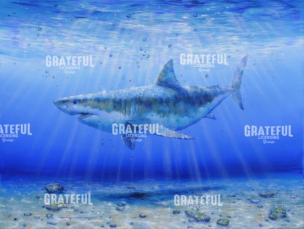 Wonderment of the Great White Shark