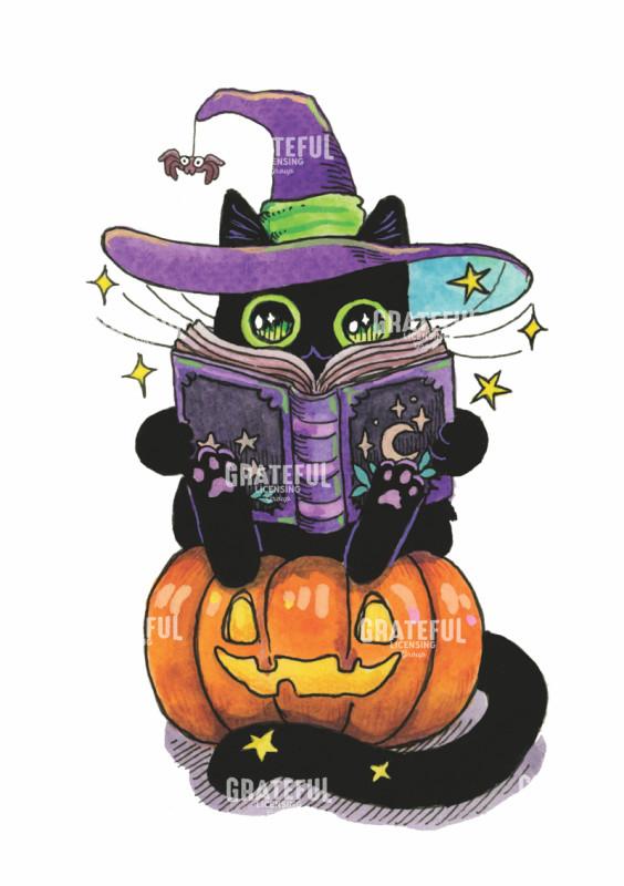 Reading Pumpkin Cat