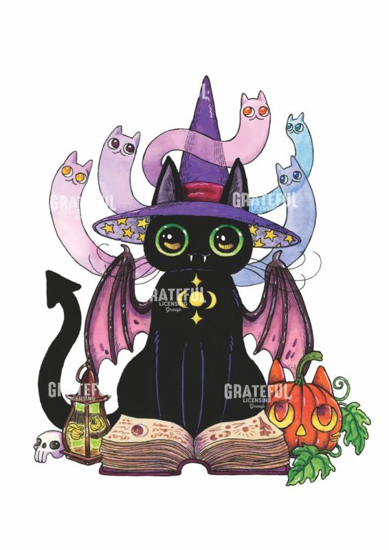 Wizard Cat