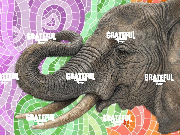 African Elephant Mosaic