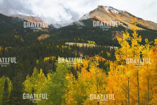 Autumn at Red Mountain