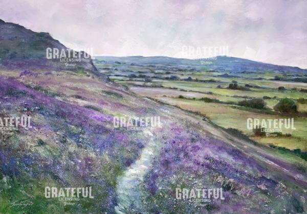 Lavender Light