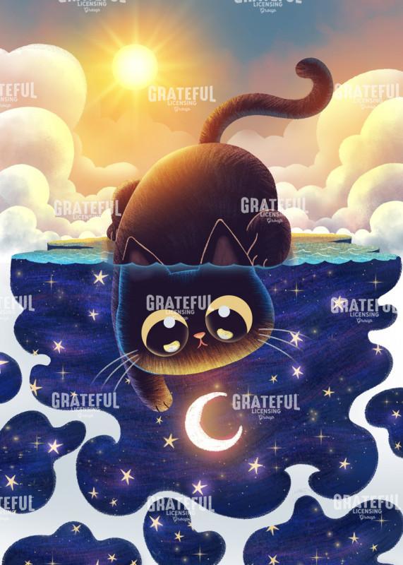 Black Cat Day and Night