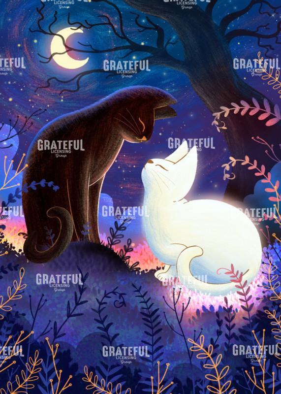 Enchanted Night