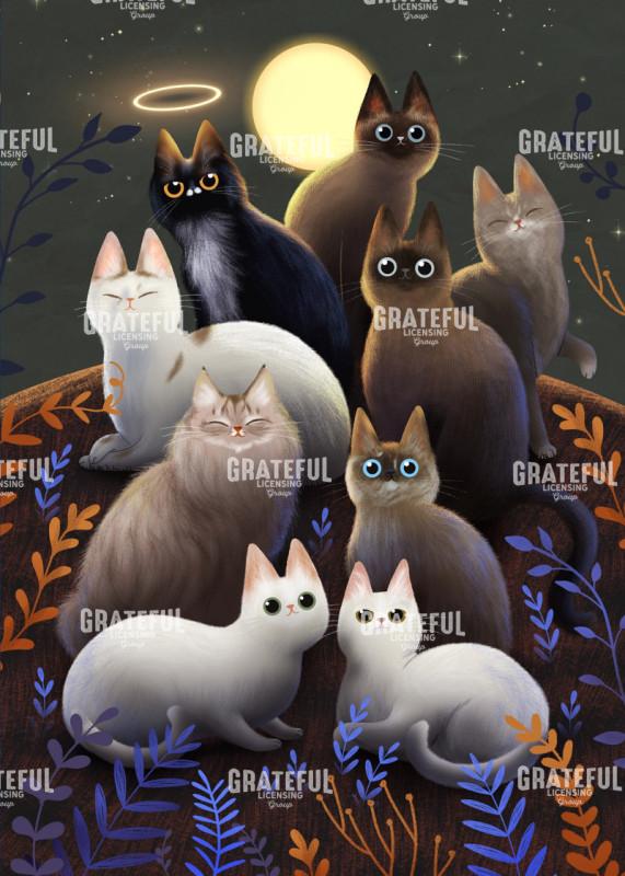 Cats