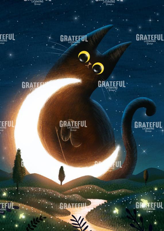 Cat and the Magic Mooon