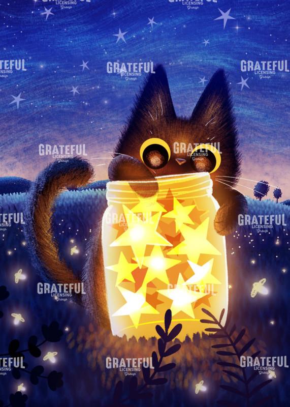 Stars and the Kitten