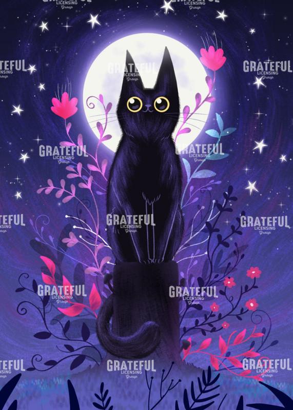Full Moon Night